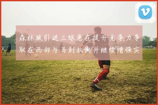森林狼引进三球意在提升竞争力争取在西部与马刺抗衡并继续增强实力